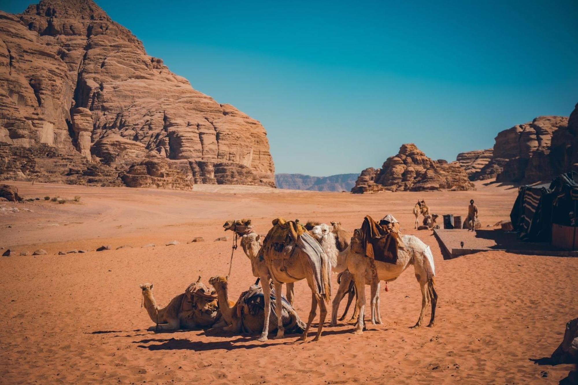 Taj Wadi Rum Camp Kültér fotó